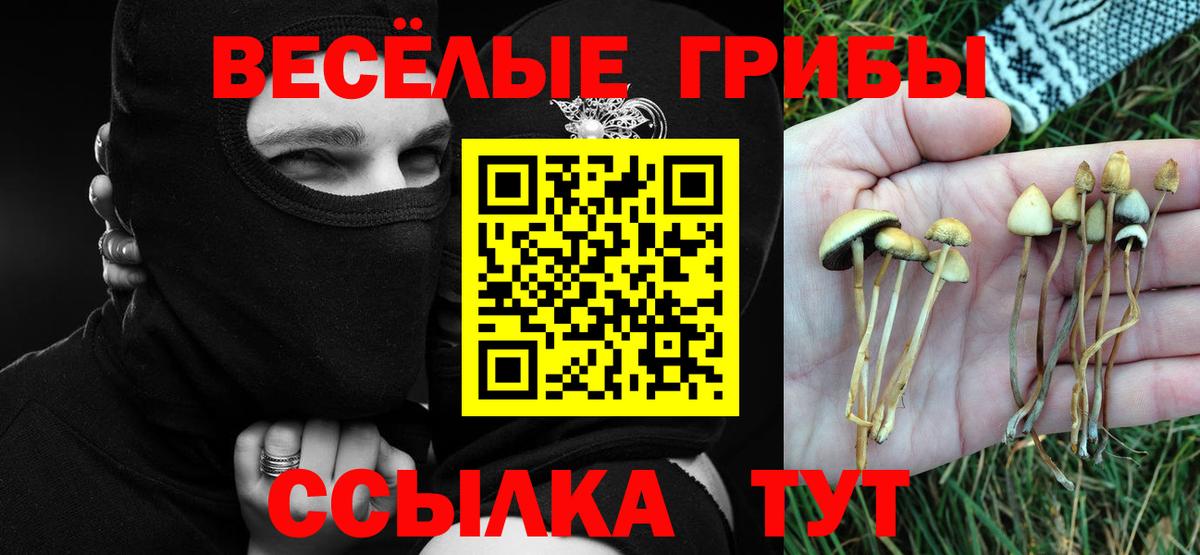 Южно-Сахалинск  Галлюциногенные грибы Psilocybine cubensis  Галлюциногенные грибы Psilocybine cubensis  Вход с VPN 